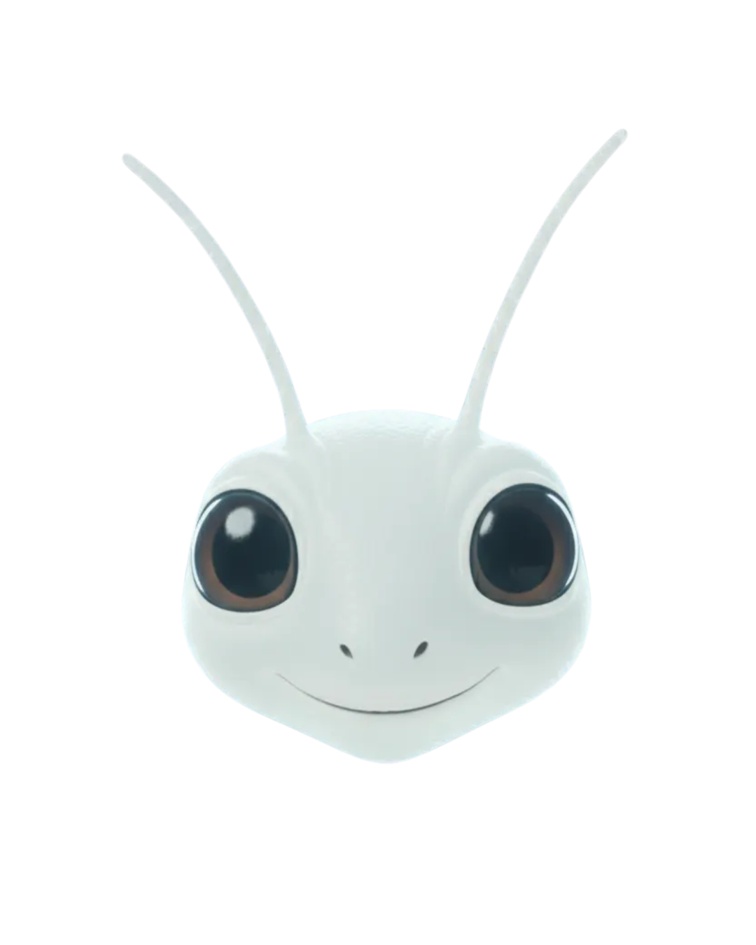 GRILLA Spirit imagen