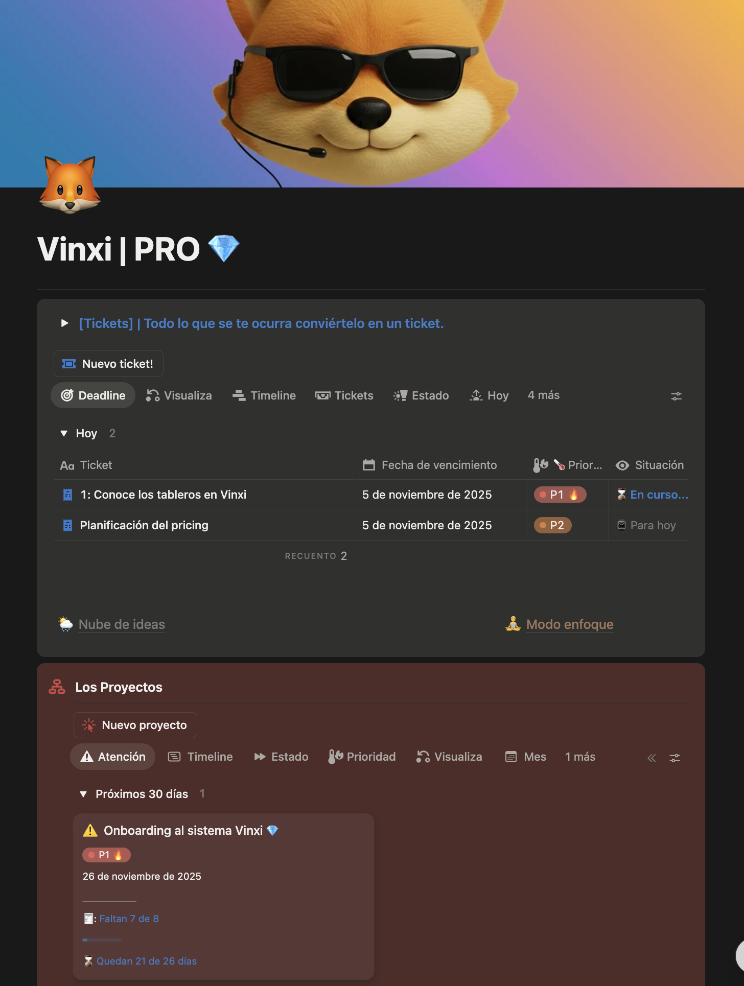 Dashboard principal de Vinxi mostrando organización de ideas